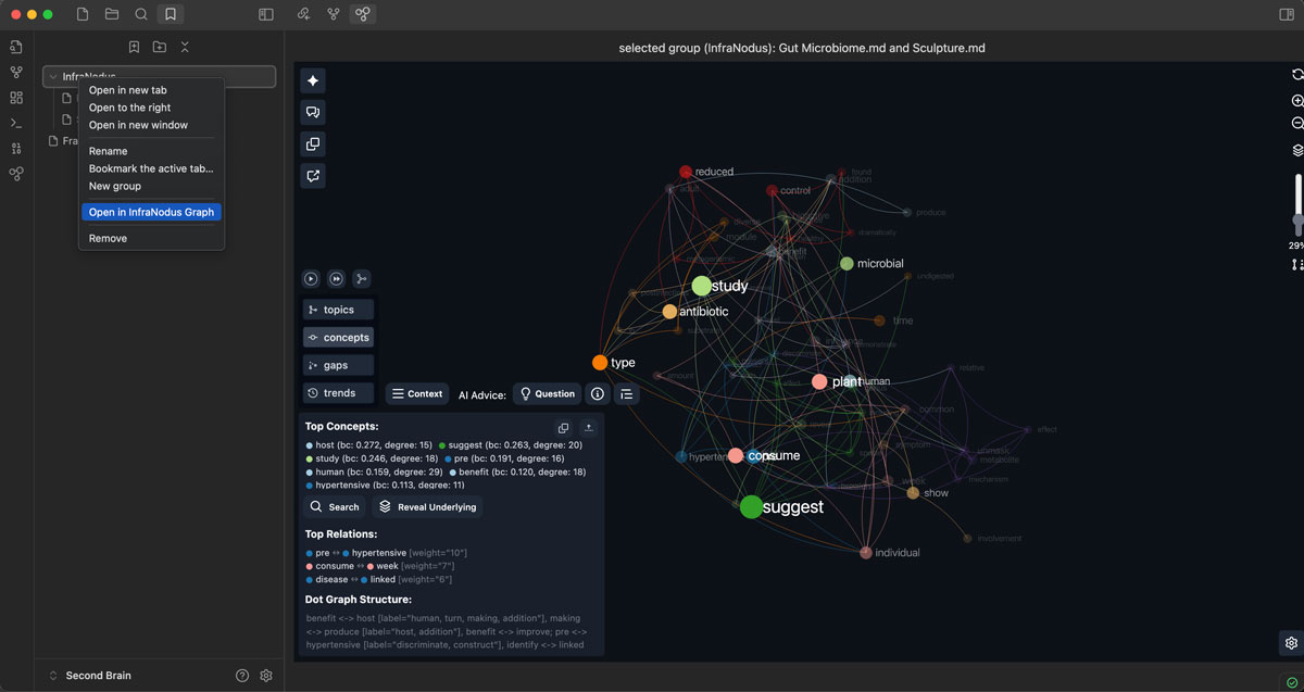 InfraNodus graph analytics