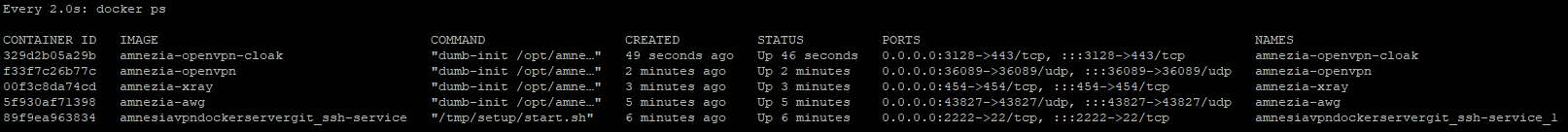 Setting up VPN protocols