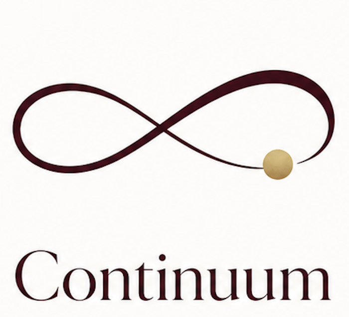 docs/pixels/continuum-pixel.png