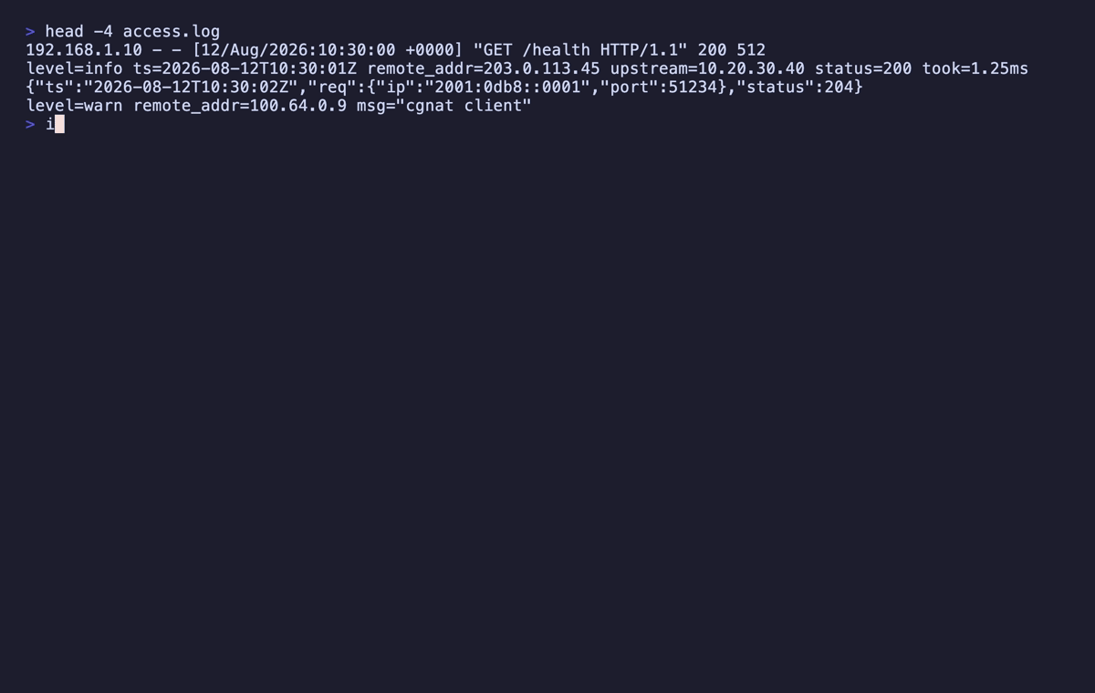 ips-le in a terminal