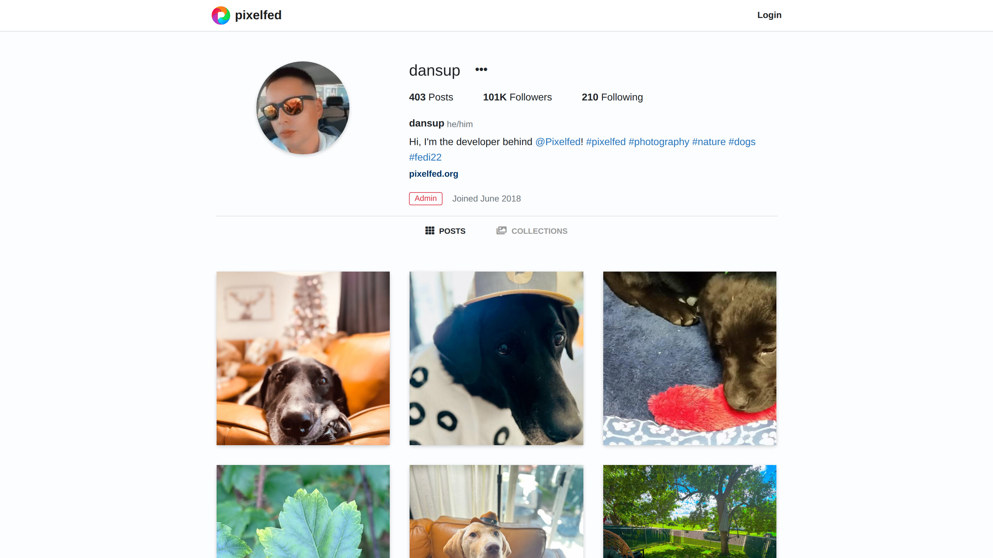 Pixelfed profile with photo grid