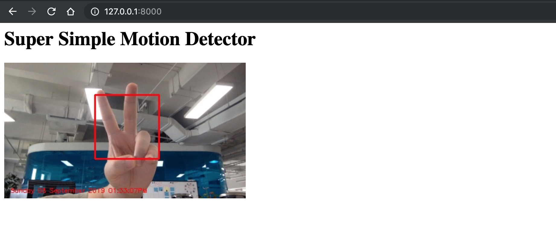 Motion Detector Demo