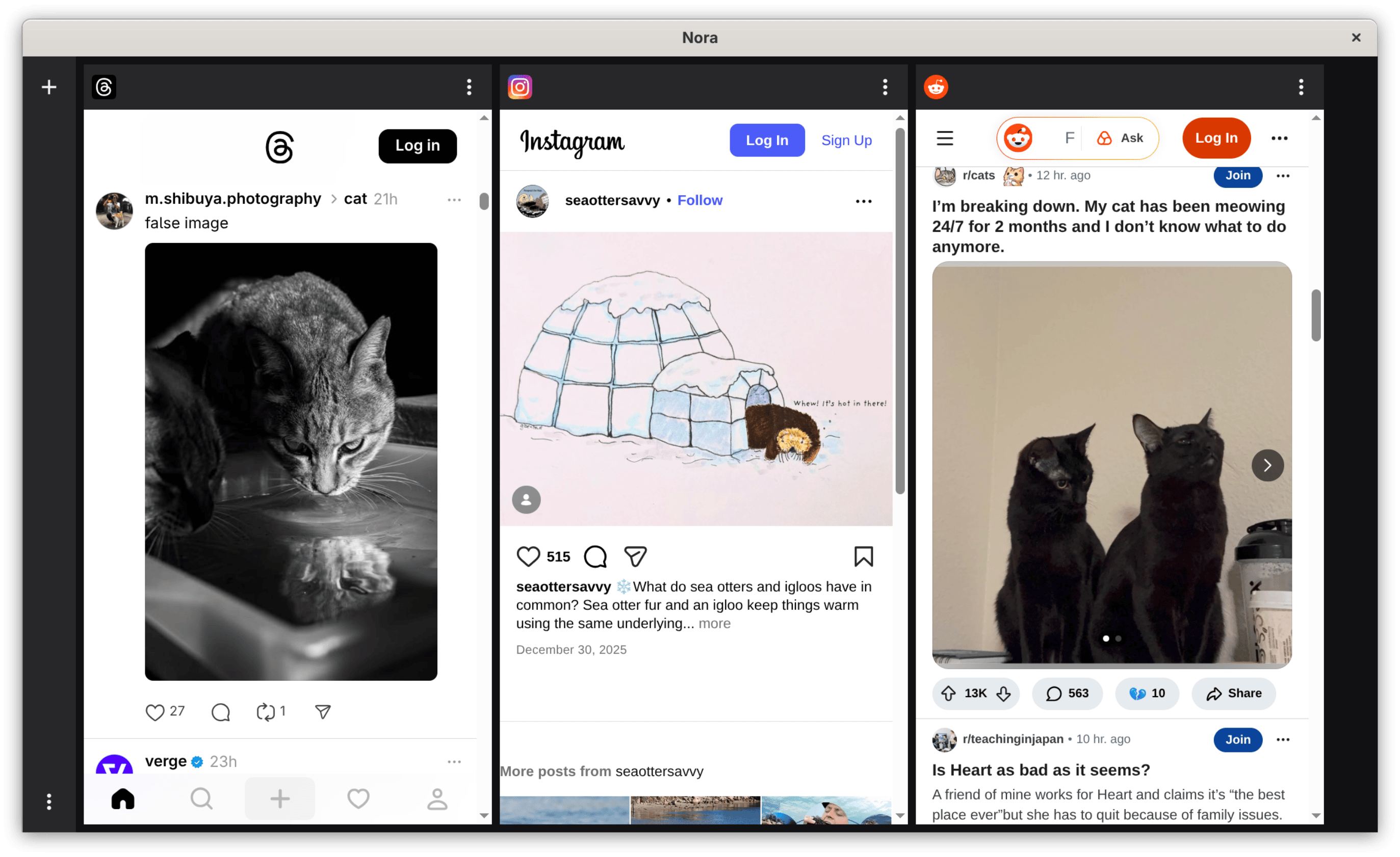 Nora Desktop deck view screenshot