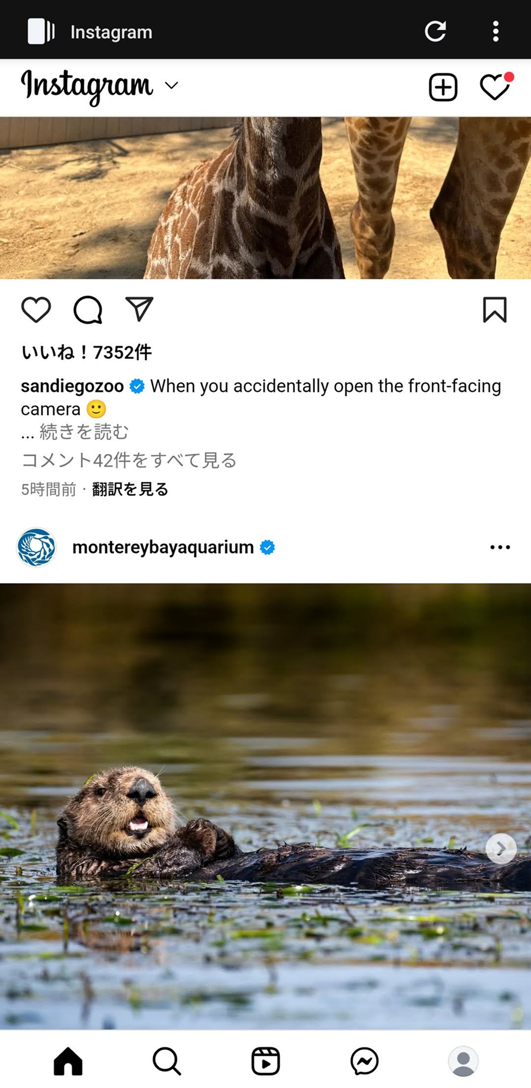 Nora Instagram screen