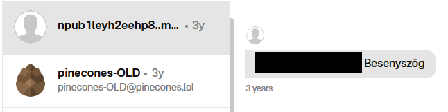 Private message containing a fully specified address with the street-level portion censored by nopara73