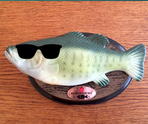 Singing Bass