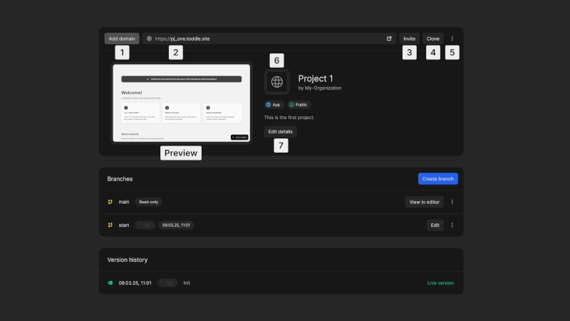 View project settings including the live URL, a preview of the app, visibility, name and description. View the active branches and version history below.