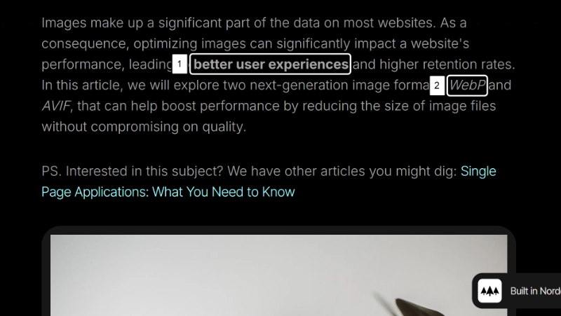 A close-up of a blog post generated by the content from DatoCMS showing bold and italic text.