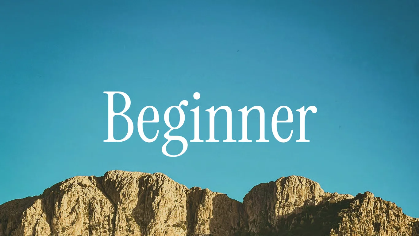 A bright blue sky with a single bird flying in the distance over a shadowed rocky cliff face.