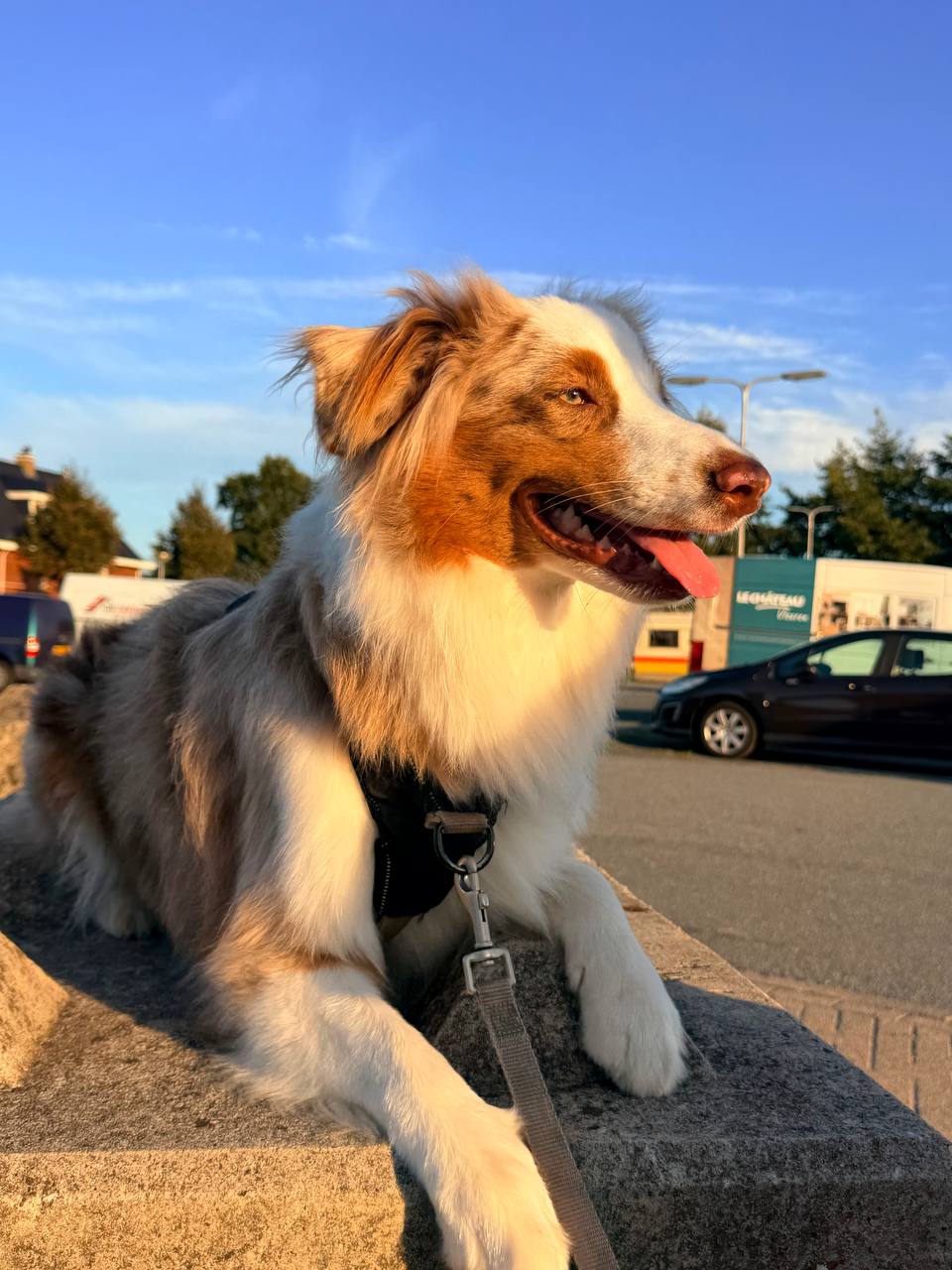 Nora