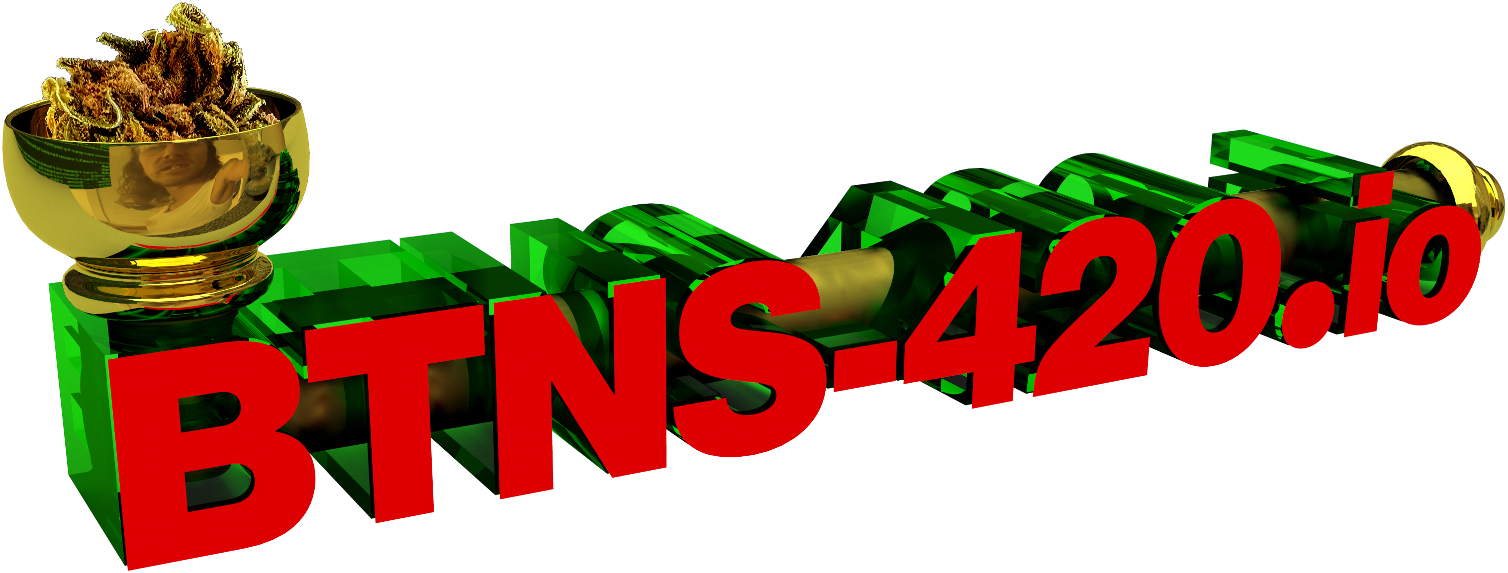 BTNS Logo