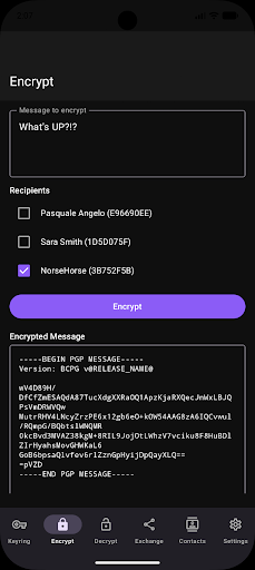 Screenshot 2 of PGPony — opens full size
