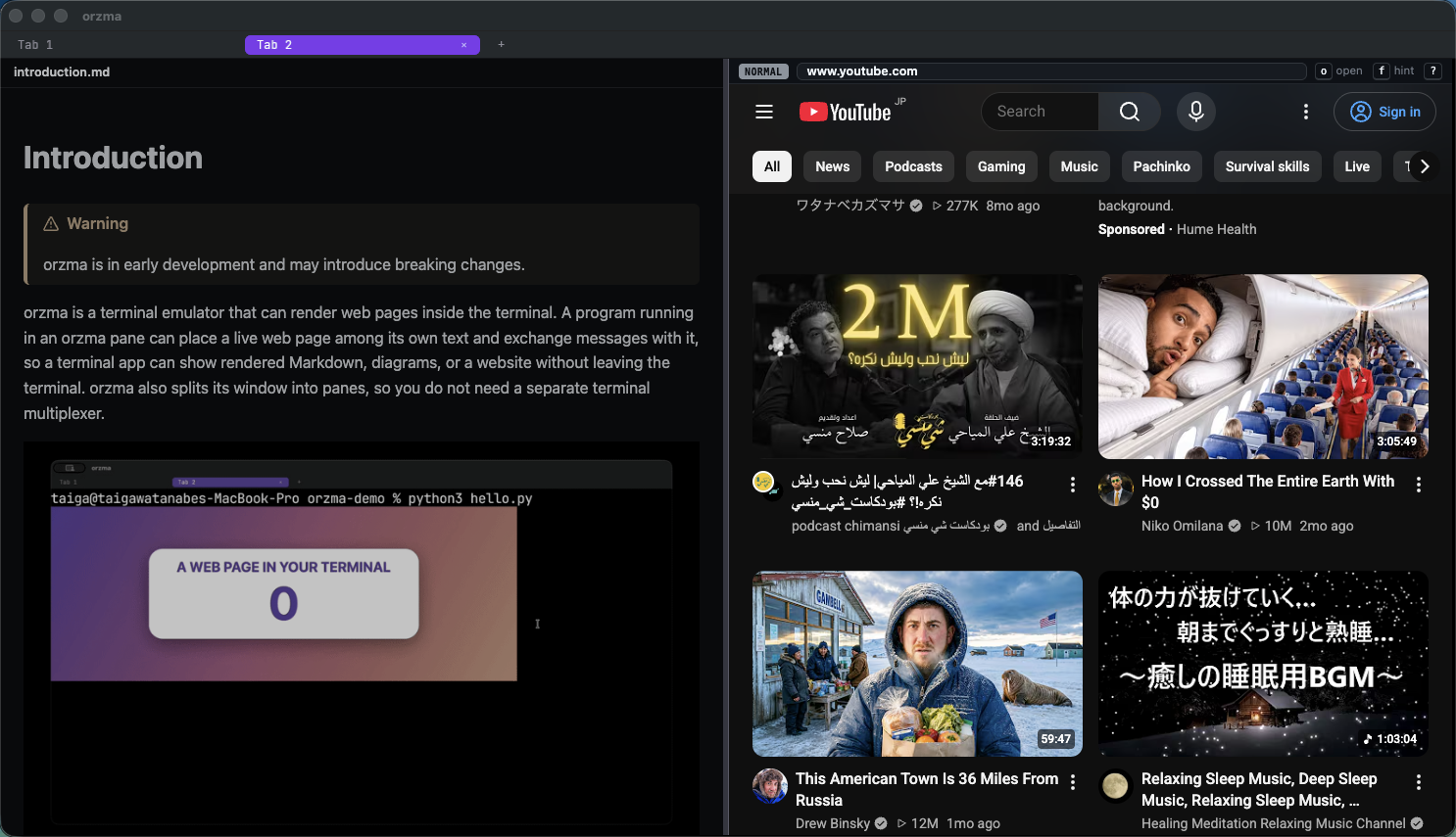orzmd rendering a Markdown file beside orzbrowser showing a website