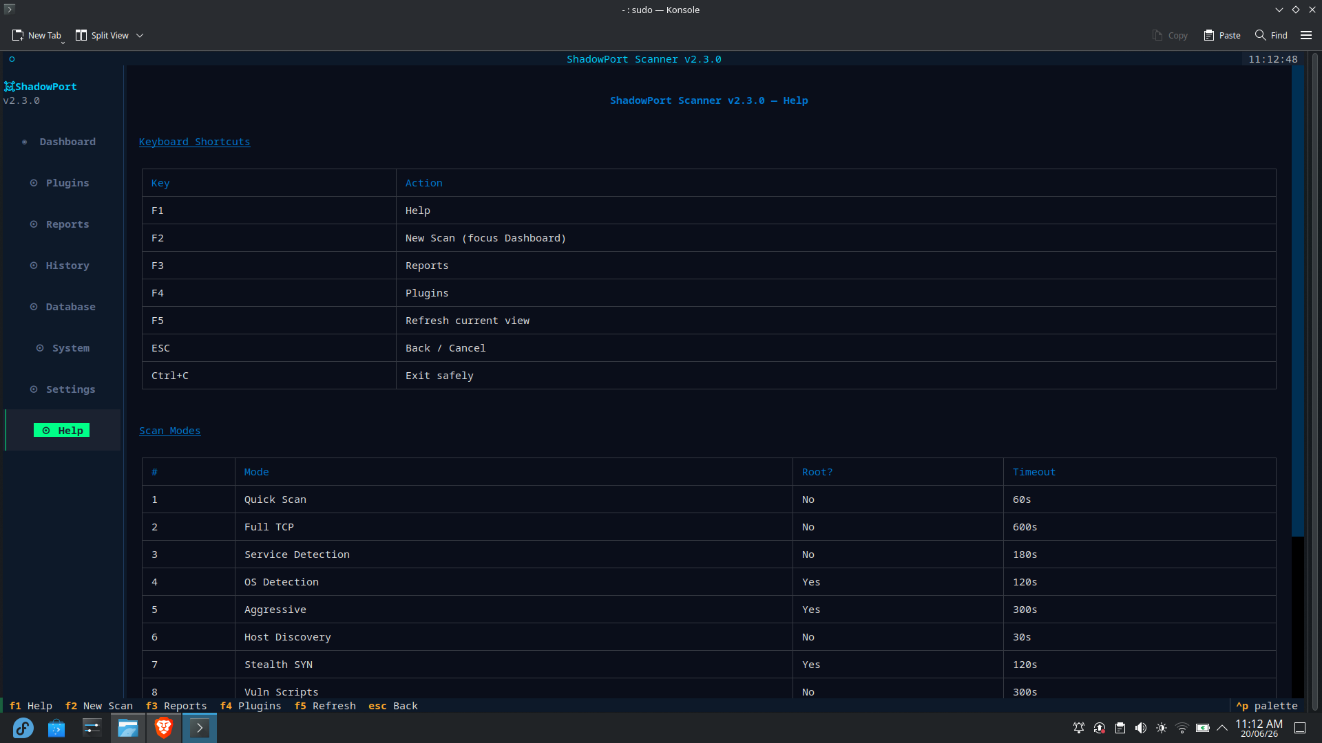 ShadowPort Scanner — scan results view