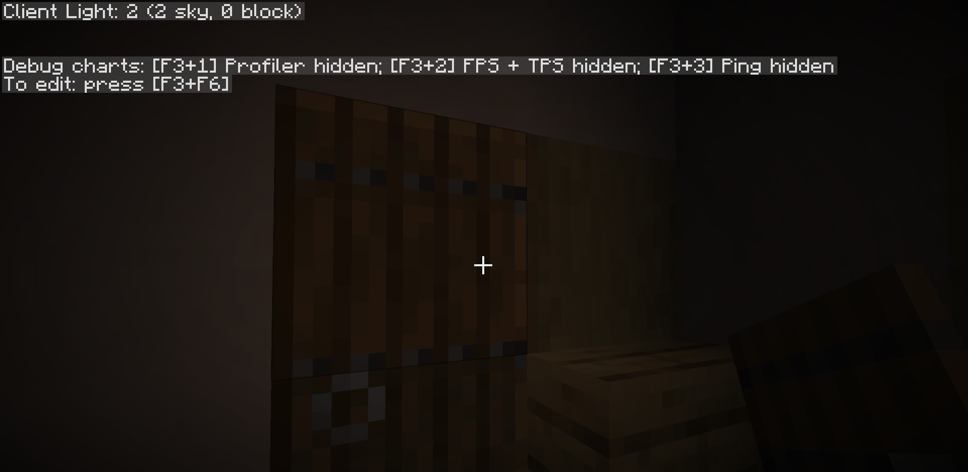 Light level shown in the F3 debug screen