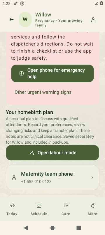 SproutBook 3.6 personal homebirth plan