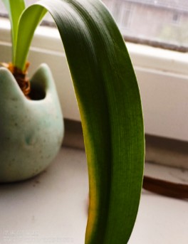 Camera Preset Sample 3