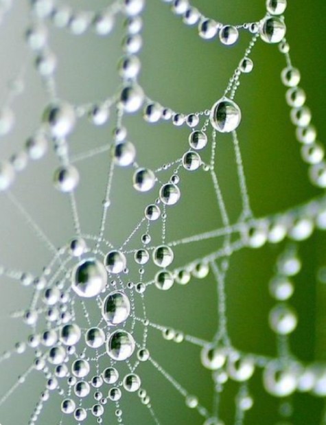 Camera Preset Sample 5