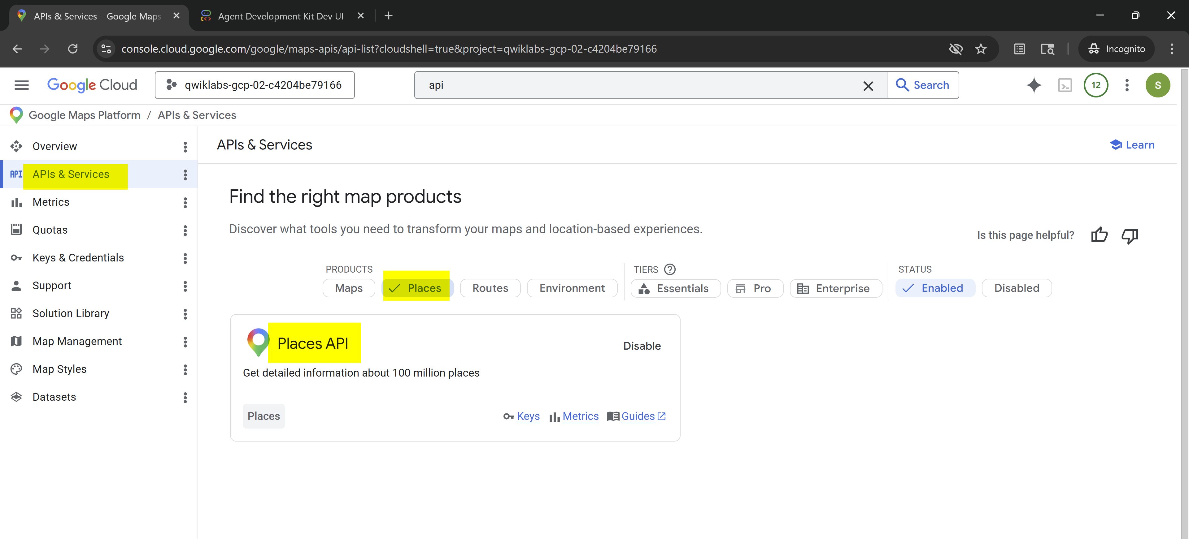 2026-04-08%2003_19_11-NVIDIA%20GeForce%20Overlay - Gcp Adk MCP Tools by nov05