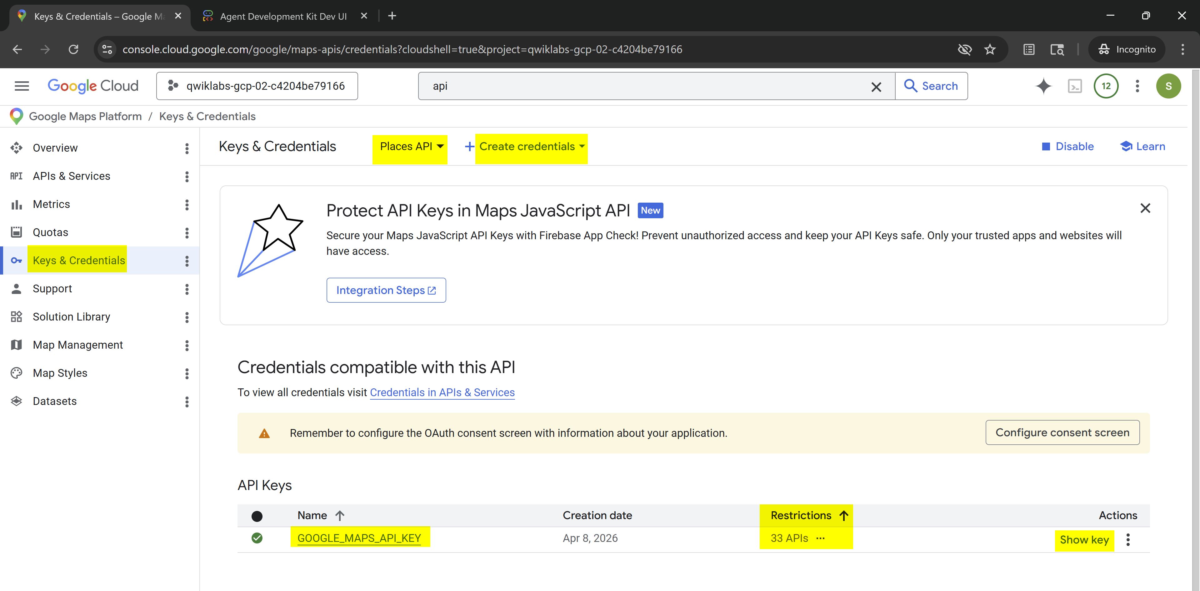 2026-04-08%2003_19_44-NVIDIA%20GeForce%20Overlay - Gcp Adk MCP Tools by nov05