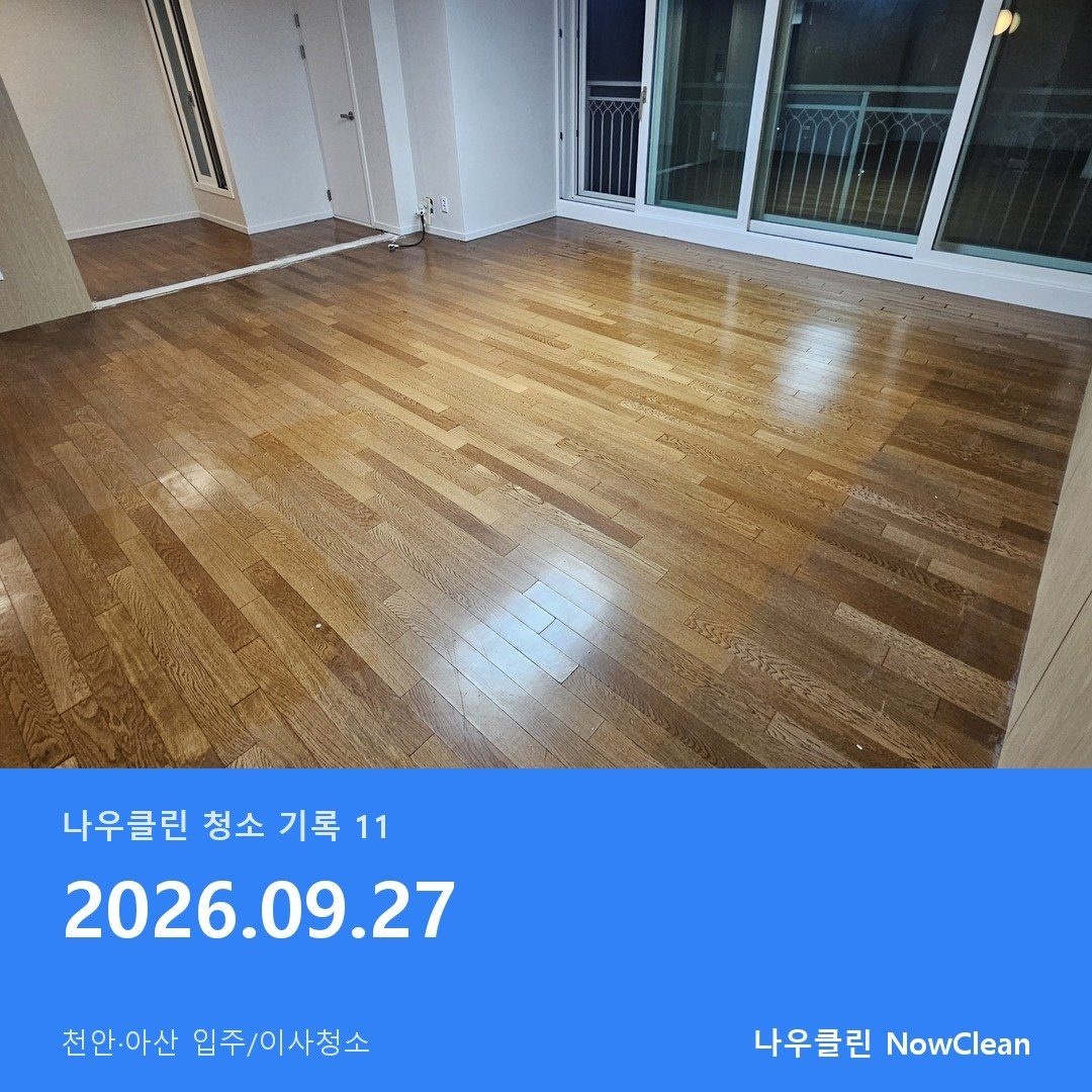 대표사진