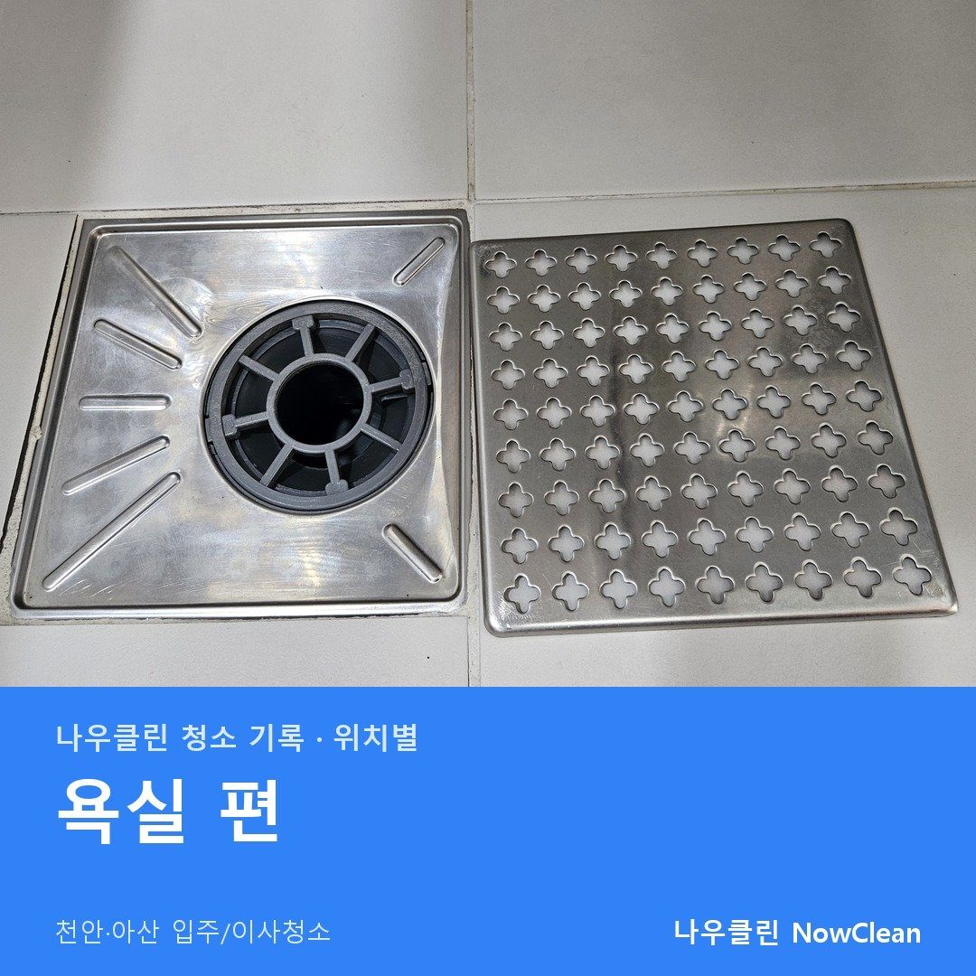 대표사진