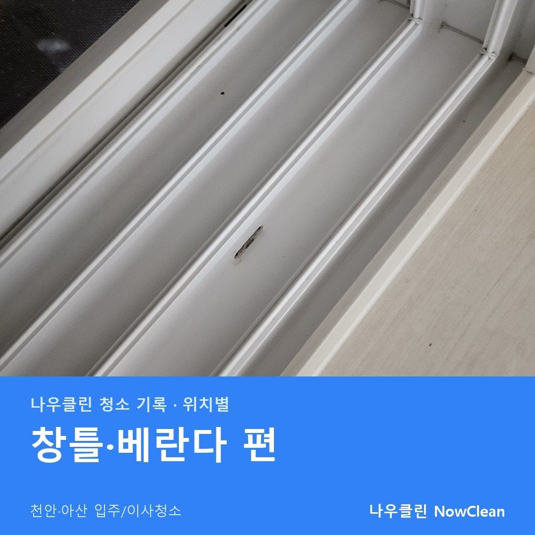 대표사진