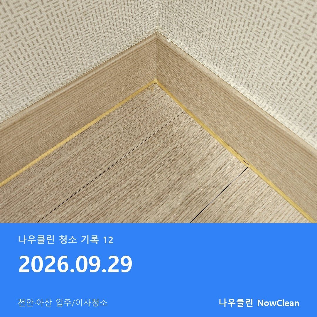 대표사진