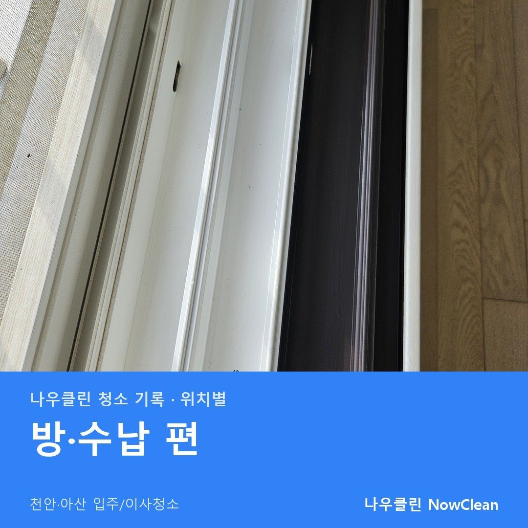 대표사진