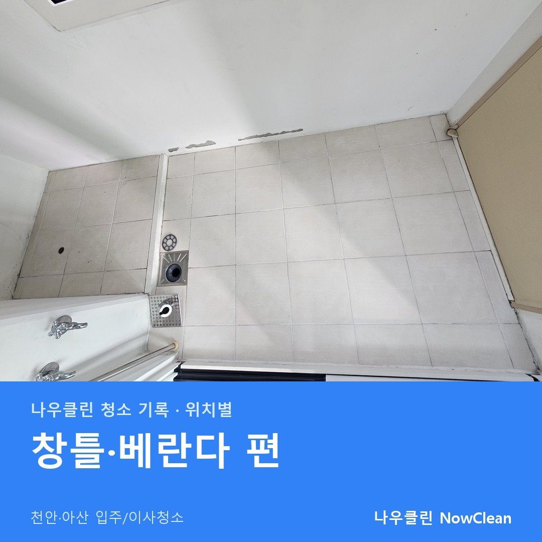 대표사진