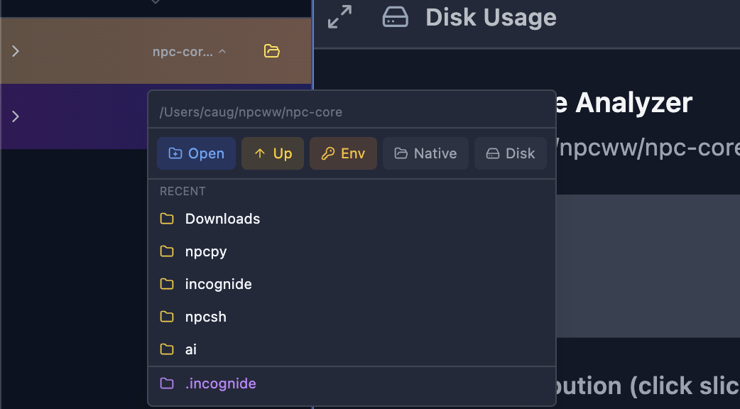 Disk usage open by clicking on the folder option drop down