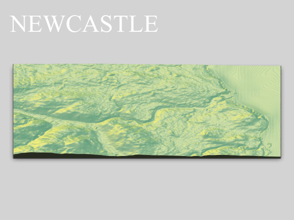 3D rectangular map showing area of Newcastle with colour representing elevation