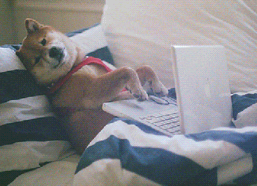 Gif of dog typing on laptop
