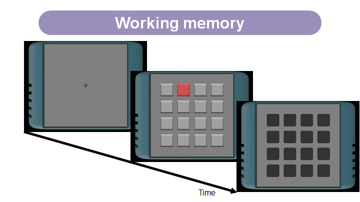 Working memory task