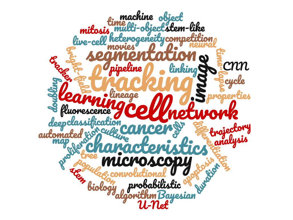 Key Words of my PhD project "Word cloud summarising the key words of my PhD project"