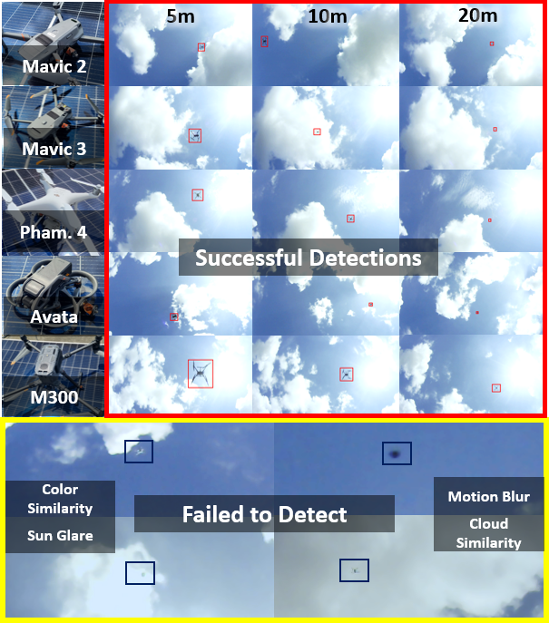  2D Detection Result Visual 