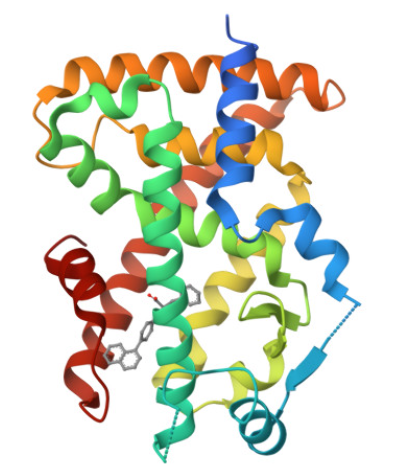 PPARalpha representation