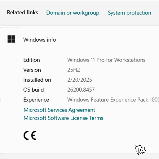 Chat on Windows
