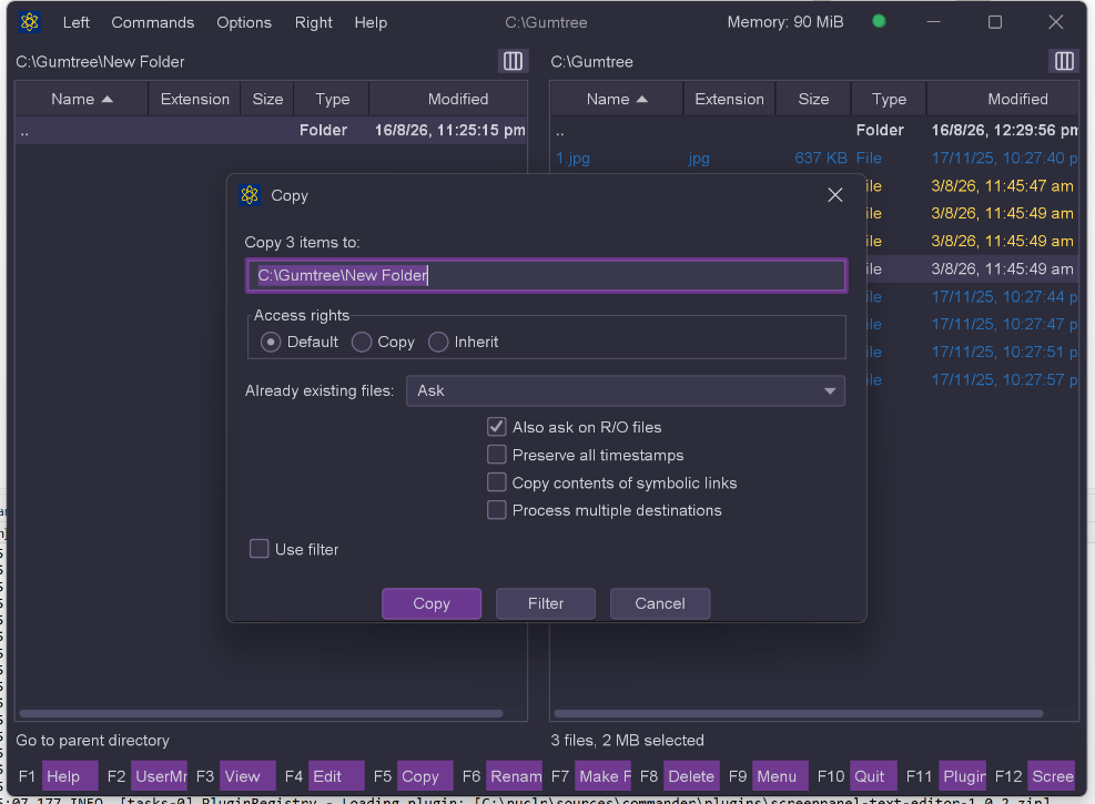 Copy options for local filesystem entries