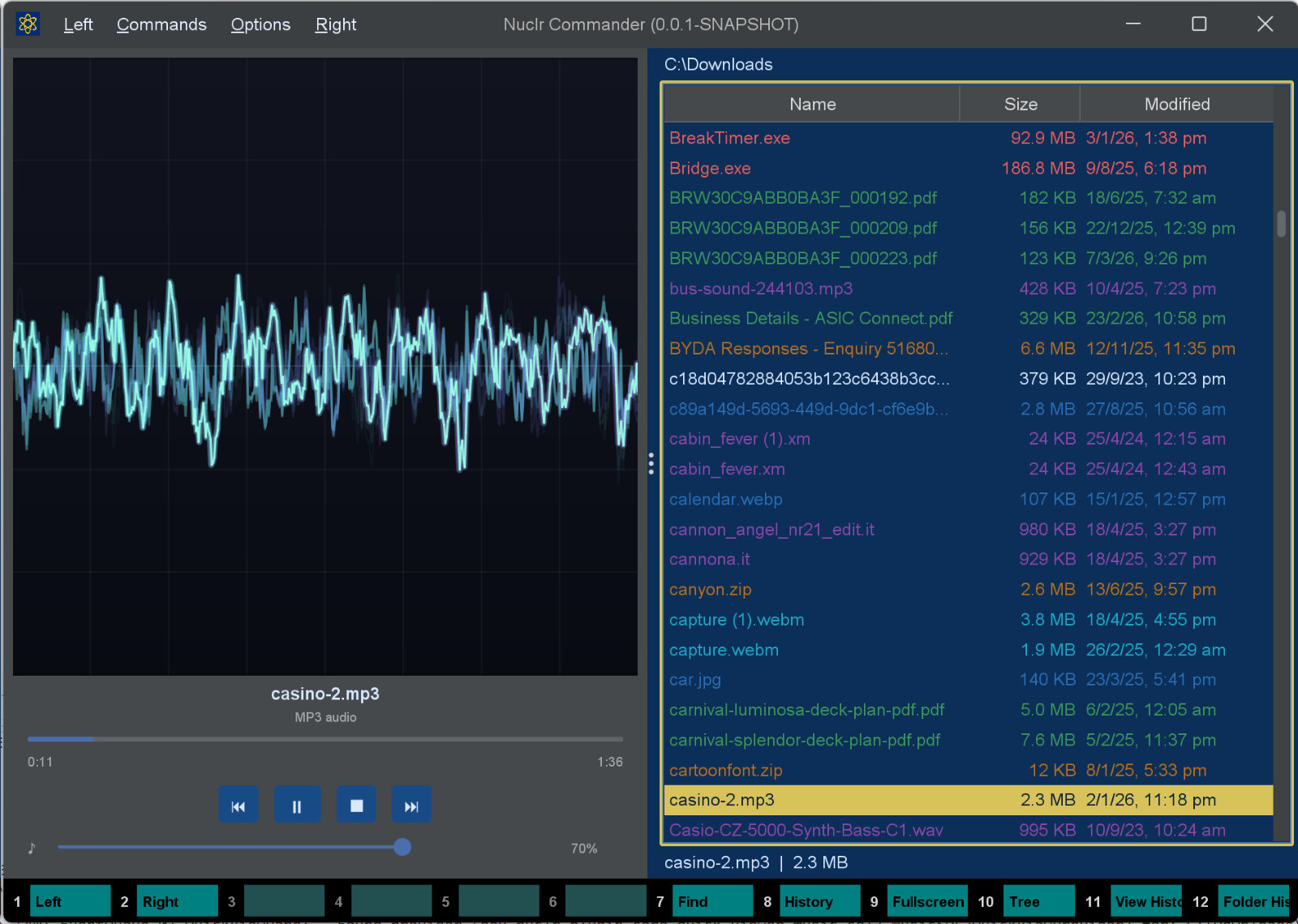 Main player view