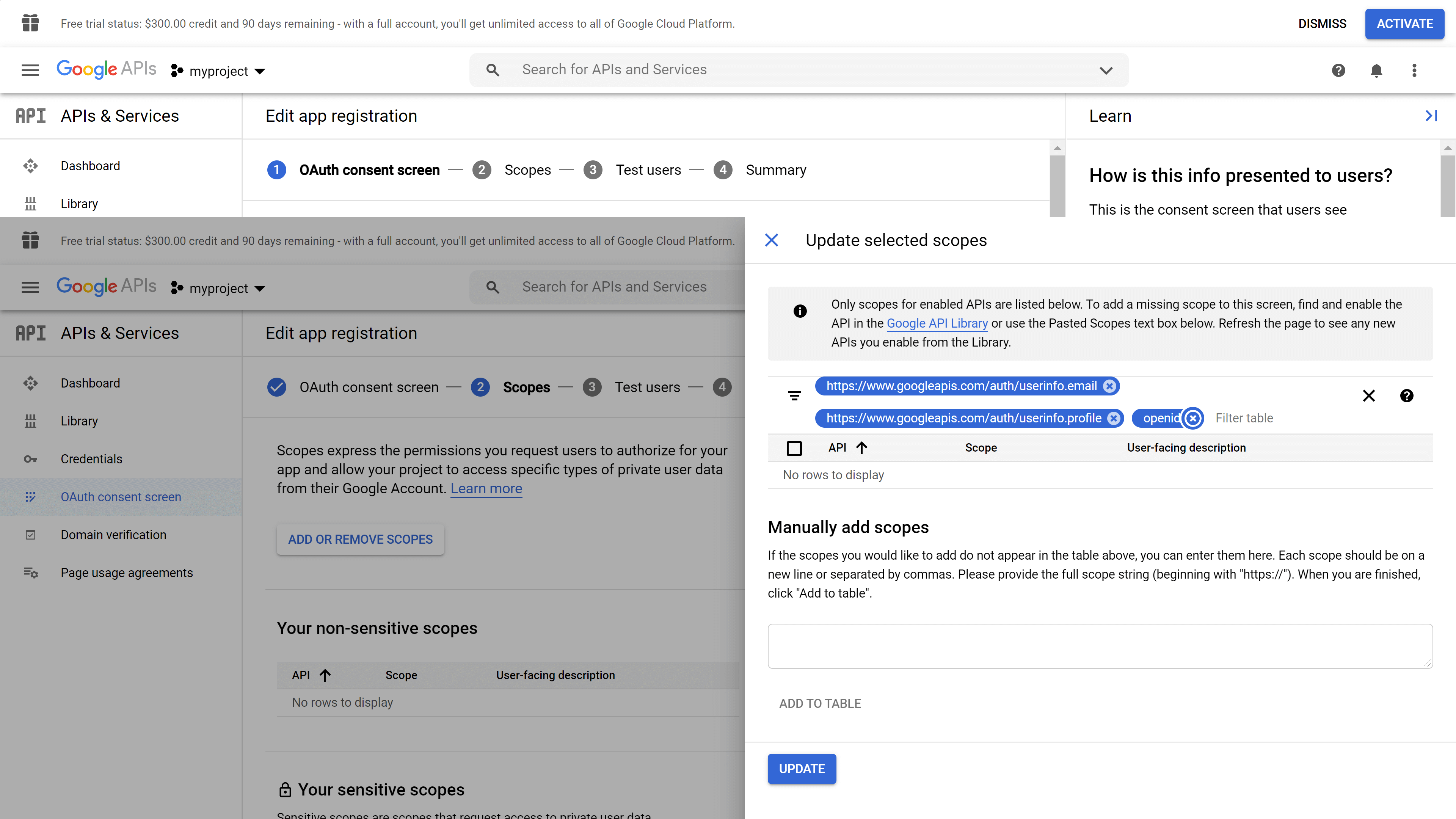OAuth Consent Scopes 