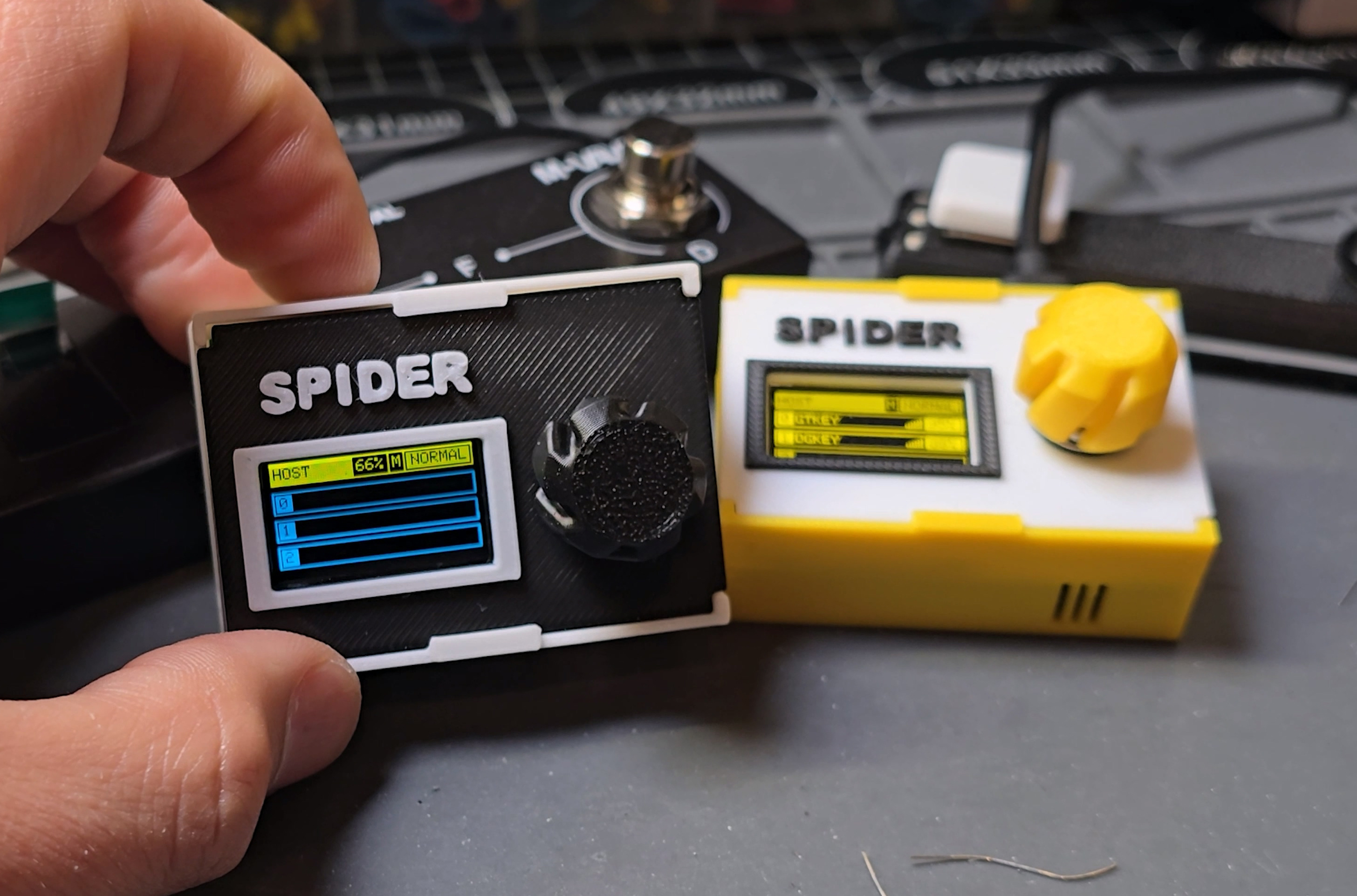 SPIDER