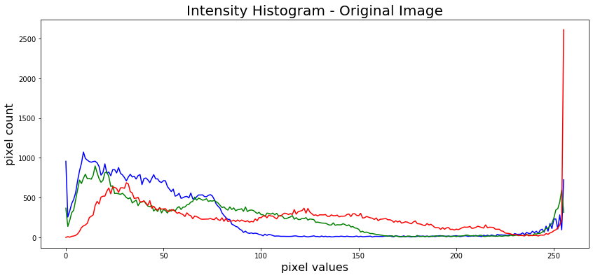 Intensity Histogram - Original Image