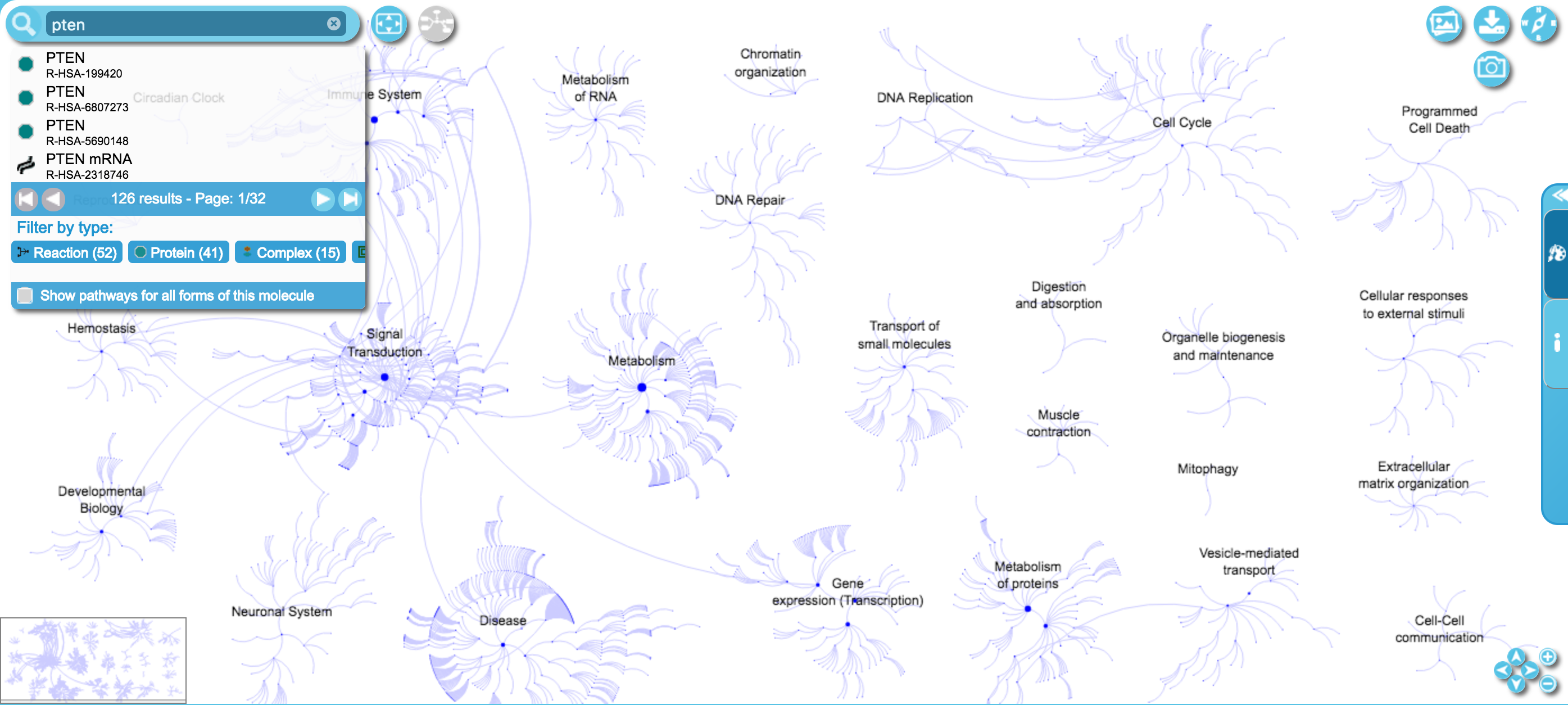 Fireworks widget example