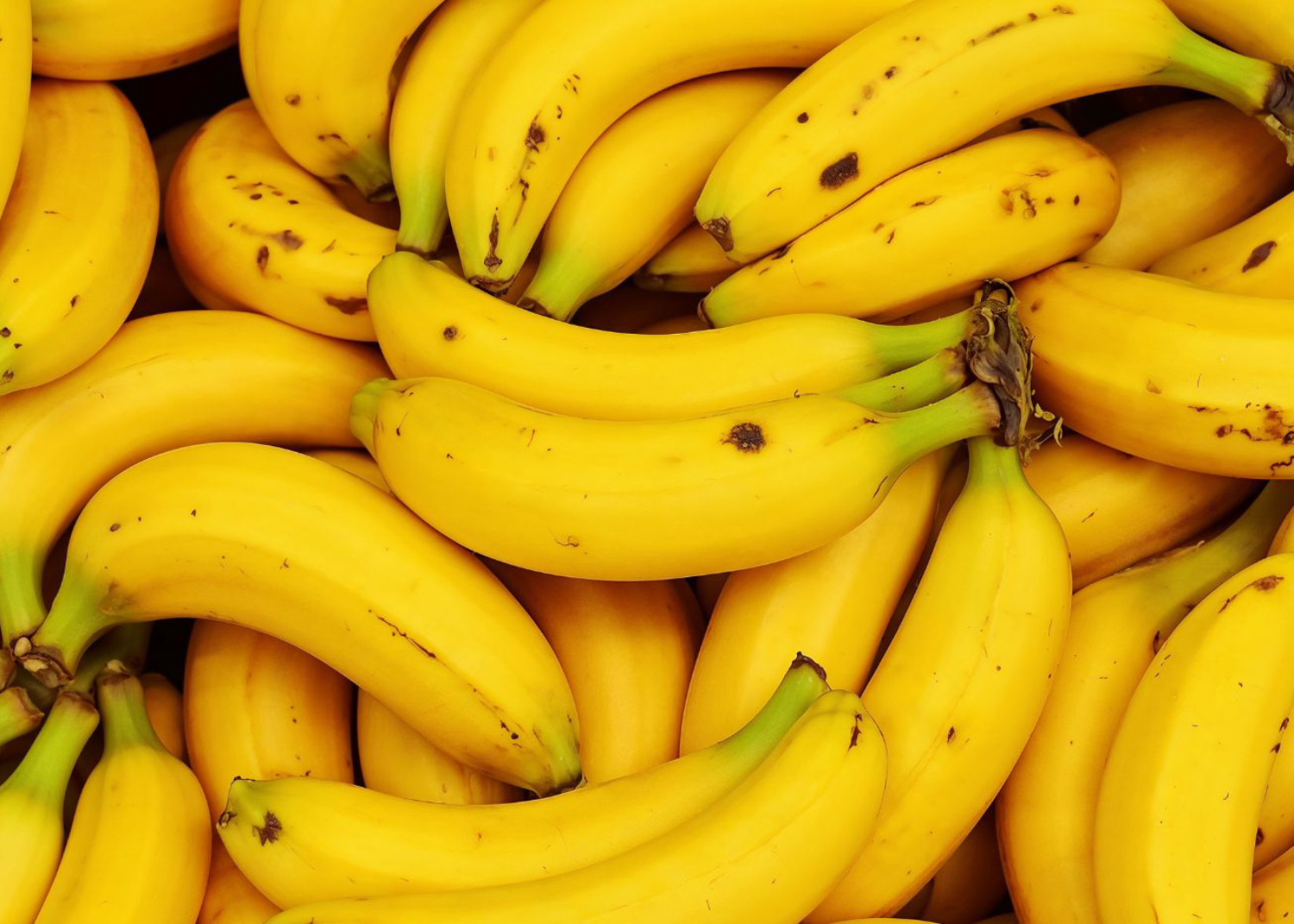 Quantas frutas posso comer por dia?