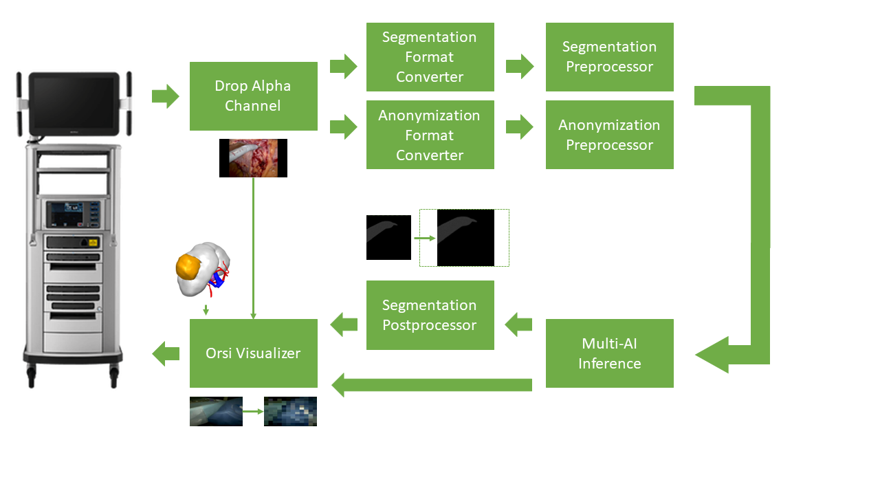 Schematic overview of Holoscan application
