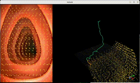 TracksTo4D visualization