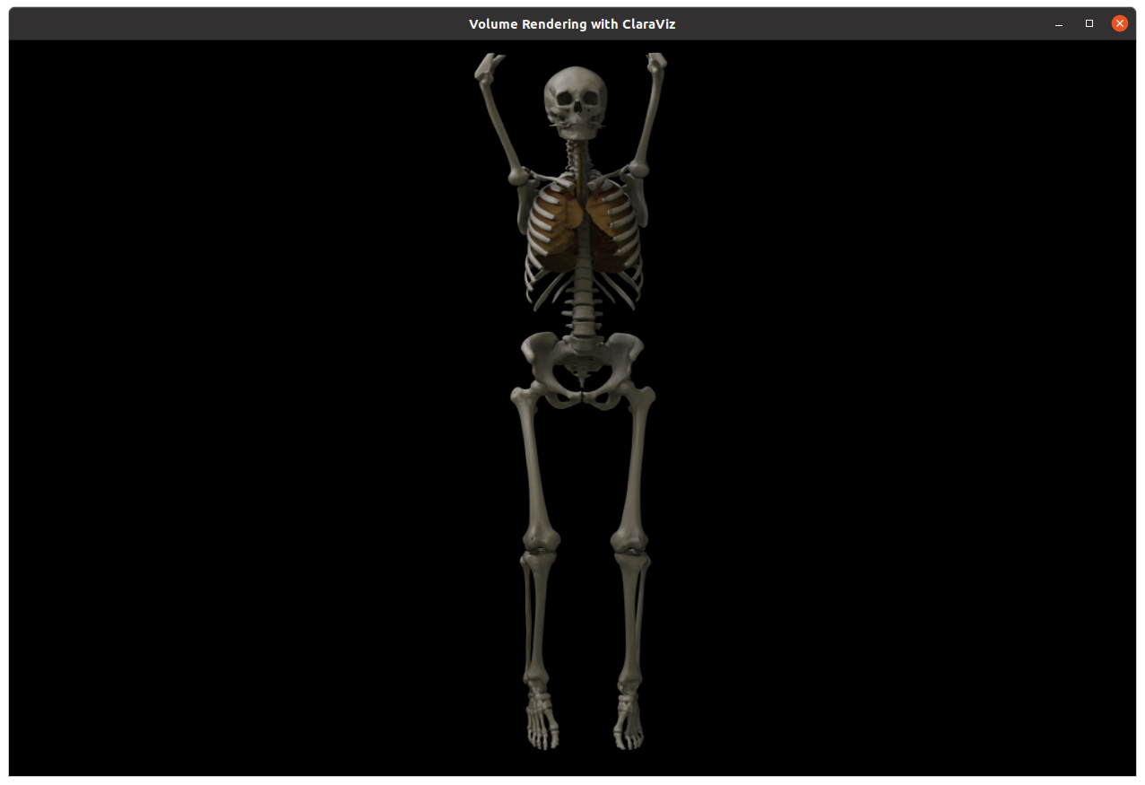 Volume rendering screenshot