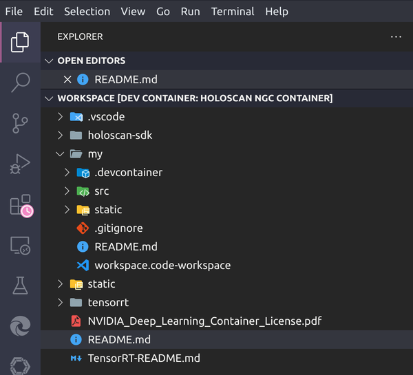 VS Code Explorer