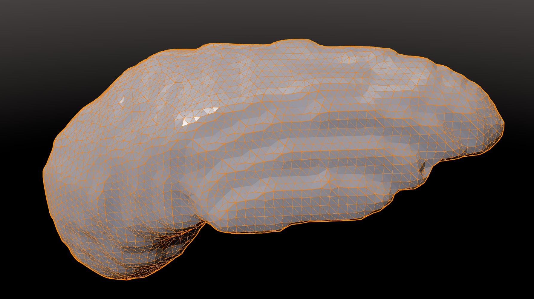 USD Composer Liver Segmentation Mesh
